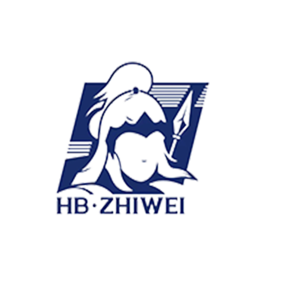 Baoding Zhiwei Electric Power Technology Co., Ltd. logo